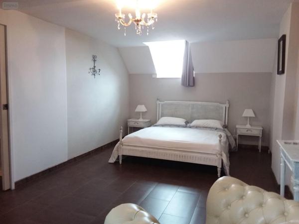 Maison rurale à vendre à Le Controis-en-Sologne dans le Loir-et-Cher (41700), ref : AN 8687