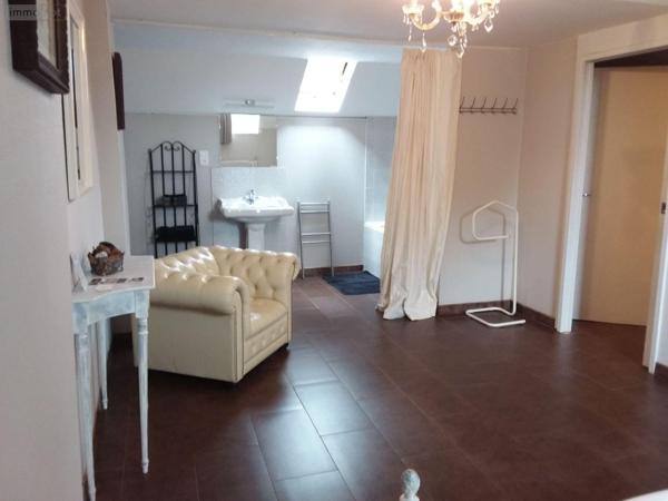 Maison rurale à vendre à Le Controis-en-Sologne dans le Loir-et-Cher (41700), ref : AN 8687