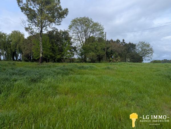 Votre recherche de biens