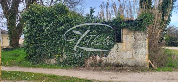 TERRAIN PRIGNAC ET MARCAMPS