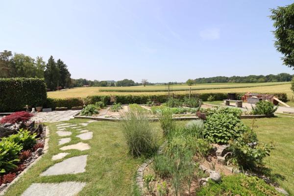 Au milieu des champs