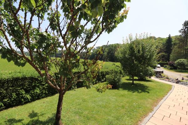 Au milieu des champs