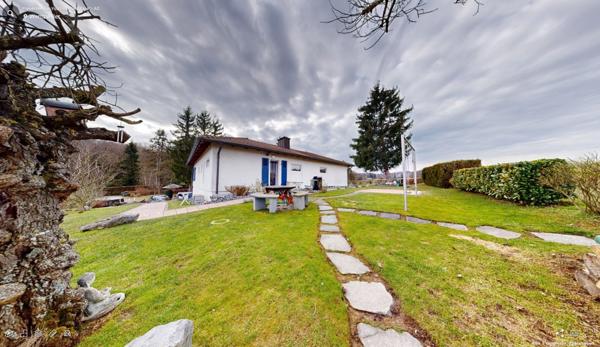 Au milieu des champs