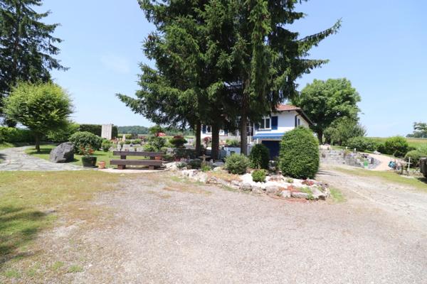 Au milieu des champs