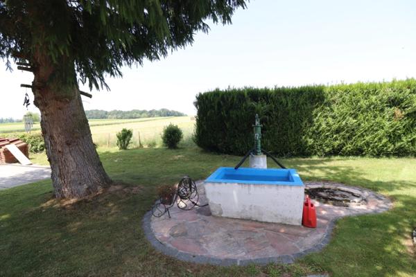 Au milieu des champs