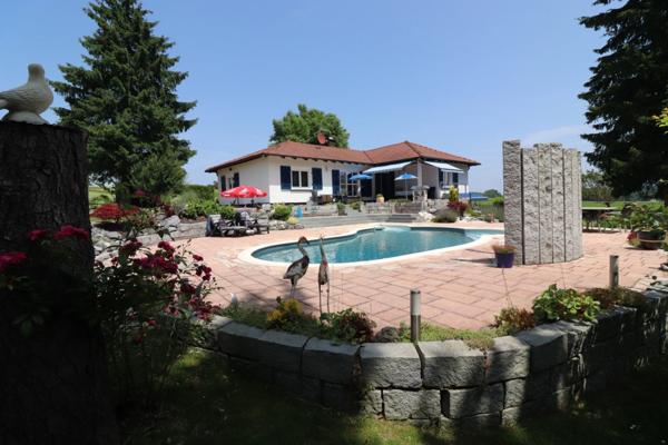 Au milieu des champs