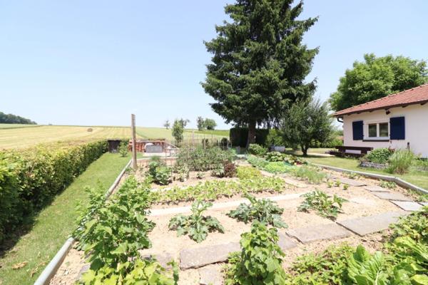 Au milieu des champs