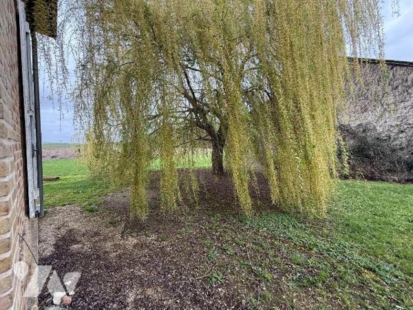 Propriété à vendre à Courteranges (10270) - Aube (10)

Propriété comprenant une maison d'habi...