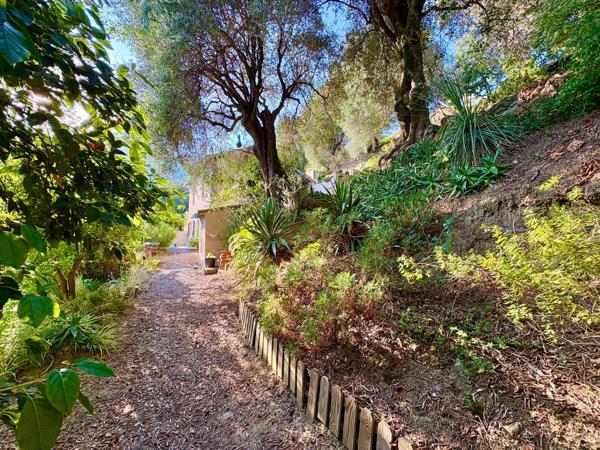 SAINTE-AGNÈS – MAISON 5 PIÈCES AVEC VUE MER SUR PLUS DE 6 500 m² DE TERRAIN