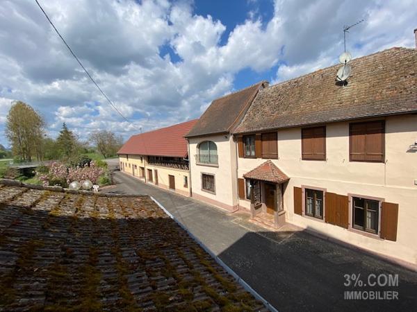 3%.COM Ensemble immobilier avec maison (210m²), dépendances ( 500m²) et bâtiment professionnel (1000m²) Wilwisheim (67270)