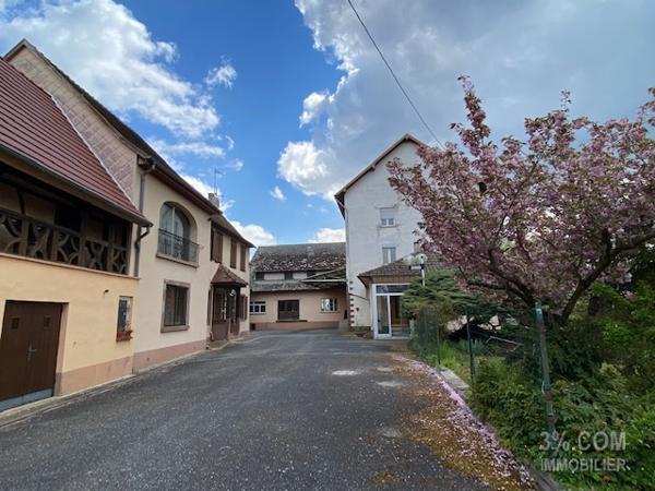 3%.COM Ensemble immobilier avec maison (210m²), dépendances ( 500m²) et bâtiment professionnel (1000m²) Wilwisheim (67270)