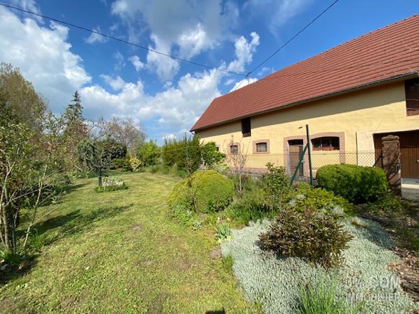 3%.COM Ensemble immobilier avec maison (210m²), dépendances ( 500m²) et bâtiment professionnel (1000m²) Wilwisheim (67270)