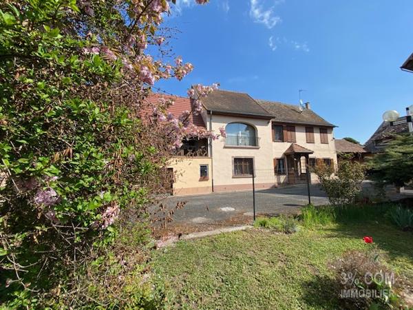 3%.COM Ensemble immobilier avec maison (210m²), dépendances ( 500m²) et bâtiment professionnel (1000m²) Wilwisheim (67270)