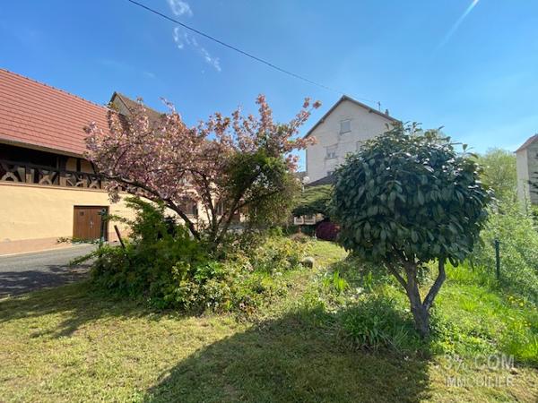 3%.COM Ensemble immobilier avec maison (210m²), dépendances ( 500m²) et bâtiment professionnel (1000m²) Wilwisheim (67270)