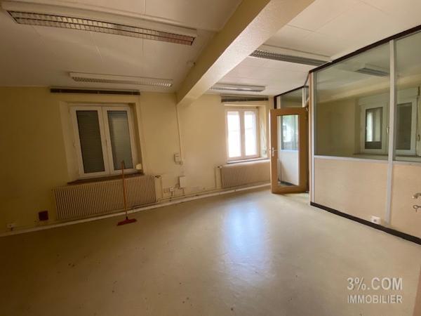 3%.COM Ensemble immobilier avec maison (210m²), dépendances ( 500m²) et bâtiment professionnel (1000m²) Wilwisheim (67270)