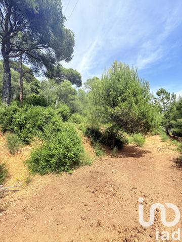 Maison à vendre 7 pièces 206 m² Saint-Martin-du-Var