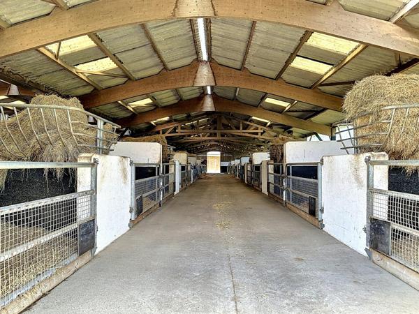 PROPRIÉTÉ EQUESTRE 83Ha, MAISON 4 CHAMBRES