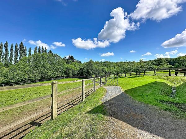 PROPRIÉTÉ EQUESTRE 83Ha, MAISON 4 CHAMBRES