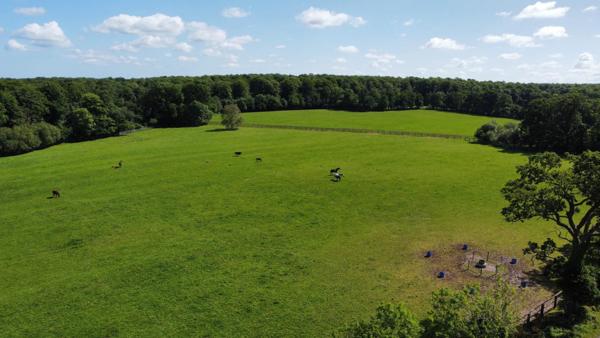 PROPRIÉTÉ EQUESTRE 83Ha, MAISON 4 CHAMBRES
