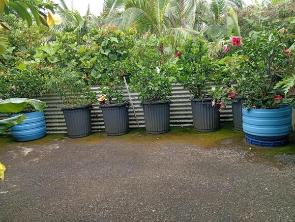 Jolie villa F5 + Dépendance sur une parcelle de 435m2 / 220 000€