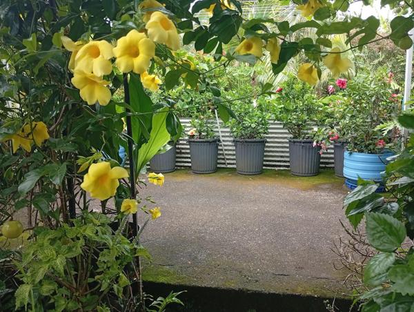 Jolie villa F5 + Dépendance sur une parcelle de 435m2 / 220 000€