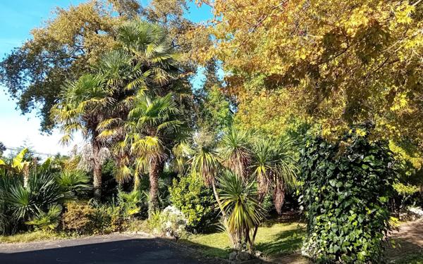 Maison à vendre    2 pièces •  Idron