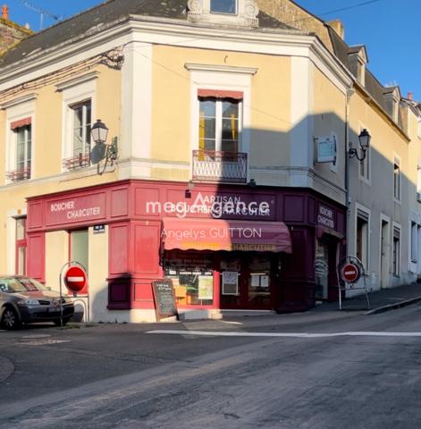 Fonds De Commerce à SILLE-LE-GUILLAUME, 72140 - 5 pièces 143m²