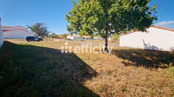 Terrain
        
        - 365 m² 143 000 € *