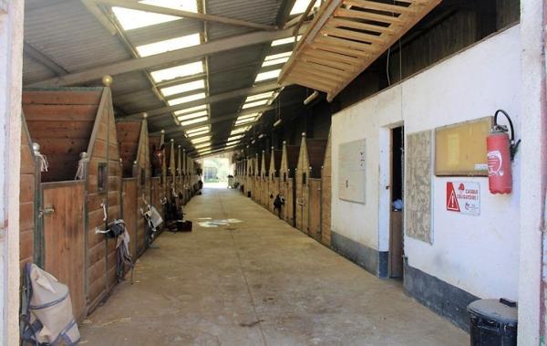 Vente Propriété équestre Blagnac   