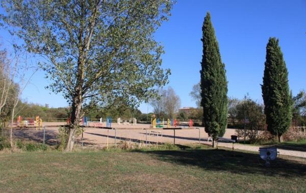 Vente Propriété équestre Blagnac   