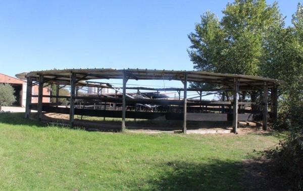 Vente Propriété équestre Blagnac   