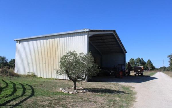 Vente Propriété équestre Blagnac   