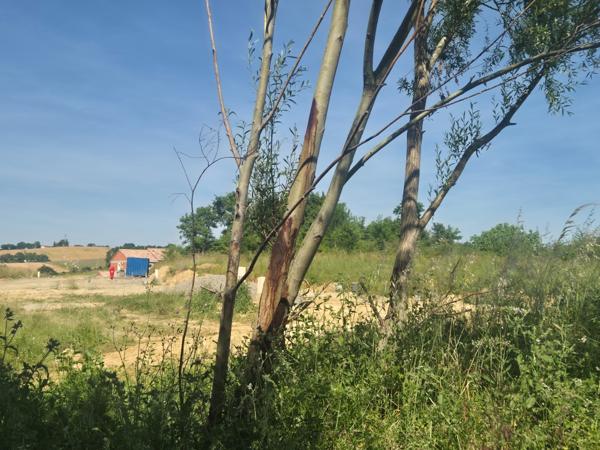 L'ISLE JOURDAIN - TERRAIN VIABILISE DE 659 M2