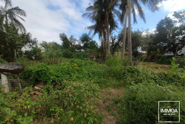 À Vendre – Terrain constructible à Sainte-Suzanne 97441