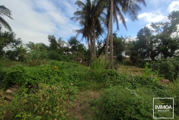 À Vendre – Terrain constructible à Sainte-Suzanne 97441