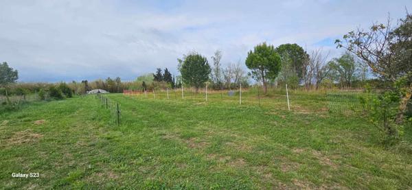 Maison Arles 9 pièce(s) 303 m2 SUR 1 hectare de parcelle