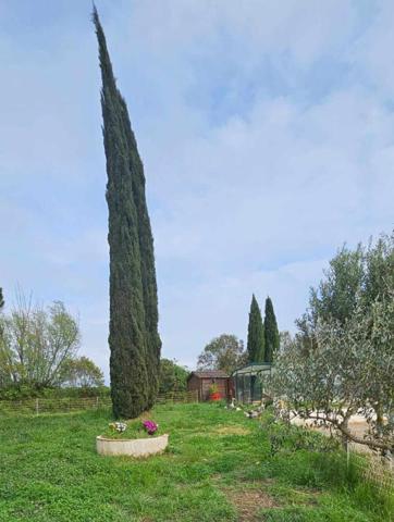 Maison Arles 9 pièce(s) 303 m2 SUR 1 hectare de parcelle