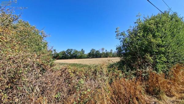 Achat - Maison La Chapelle-Gaudin 79300 2 pièces 54 m 2 2773 m 2