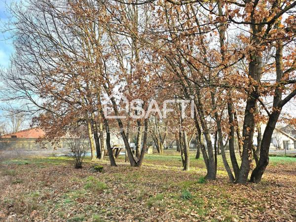 Maison avec jardin arboré