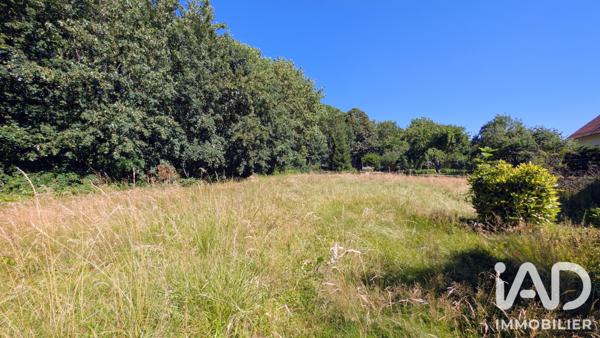 Maison à vendre 6 pièces 119 m² Phalsbourg