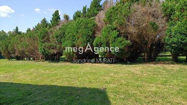 Maison à La Ferté-Macé, 61600 - 11 pièces 248m²
