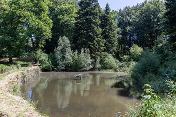 Vente Maison bourgeoise Sorèze 42 Pièces 1300 m²
