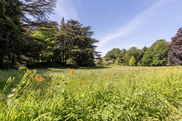 Vente Maison bourgeoise Sorèze 42 Pièces 1300 m²