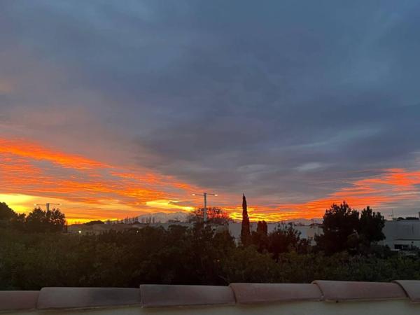 Appartement à vendre 2 pièces de 26 m²