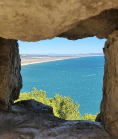 Appartement à vendre 2 pièces de 26 m²