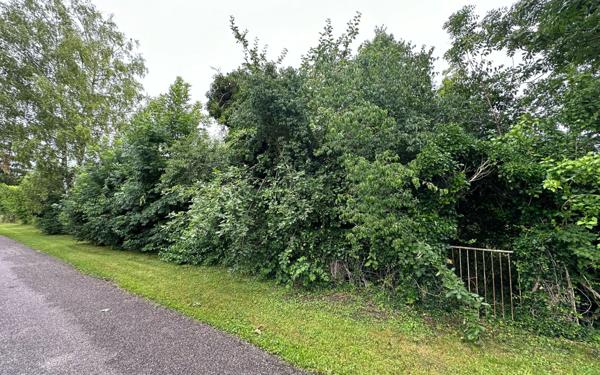 Terrain à vendre    Revigny-sur-Ornain