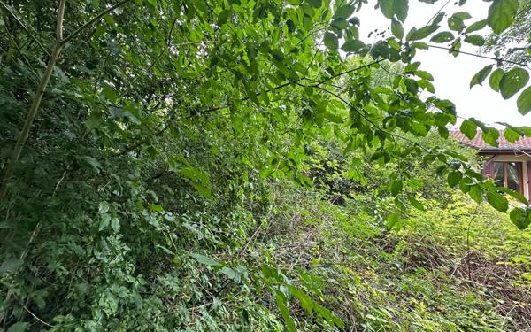 Terrain à vendre    Revigny-sur-Ornain