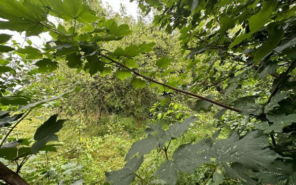 Terrain à vendre    Revigny-sur-Ornain