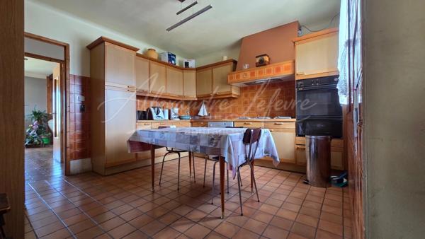 Propriété aux volumes exceptionnels avec jardin et vue montagne
