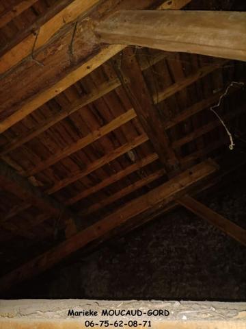 En plein centre de Beauzac 43590 maison de ville traversante ((deux entrées possibles) 270m² dont 132m² habitables 4 chambres